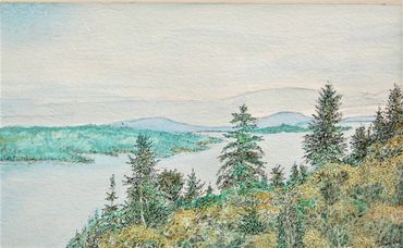 Ink Drawing With Water Colour 4