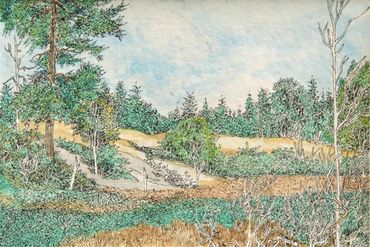 Ink Drawing With Water Colour 13