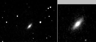 A member of a rare class of Polar-Ring galaxies