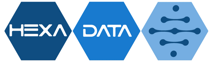 Hexa Data