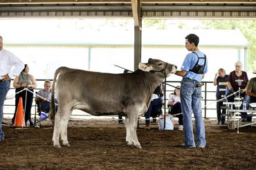 ANTONIO MUNOZ AND JBB HARMONY 0296H (AKA BARBIE)