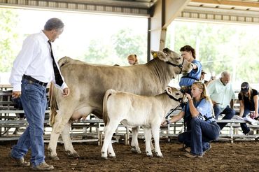 ROWDY EYTCHESON AND JBB HALLEY 043H