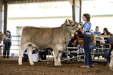 ROWDY EYTCHESSON AND JBB HIGH CLASS MARY 026H