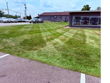 Commercial Lawn Care