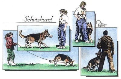 Schutzhund