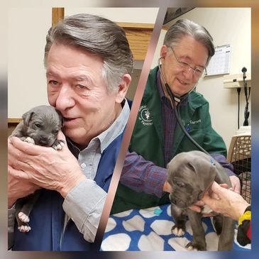 Dr. J.K. Garrett DVM