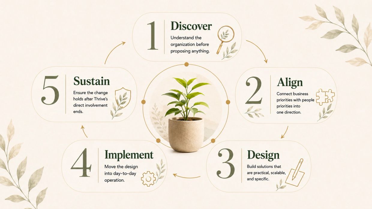 Five-step process for organizational growth around a plant in a pot.