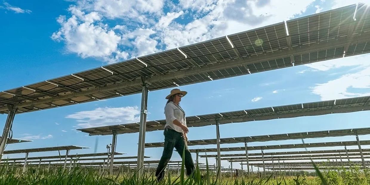 Woman walking in solar panel field under blue sky.