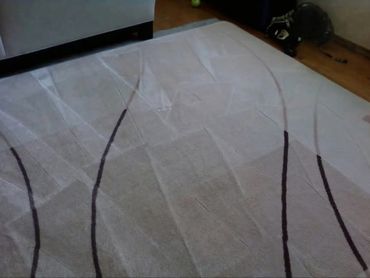 finished cleaning , another satisfied customer