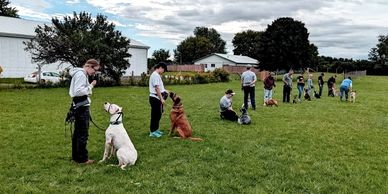 A group of people at a dog training class in Delhi, Ontario.