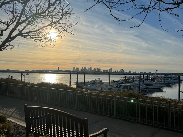Sunset over a marina with city skyline in the background.