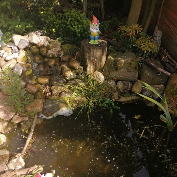 Relationship, anxiety, depression