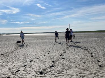 Tous à la découverte des crevettes au Crotoy avec pagaiesetbaluchons