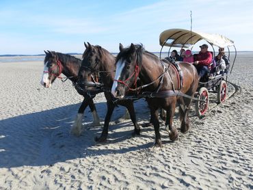 Excursion en calèche avec Jacky au Crotoy