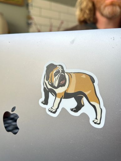 Rogue BJJ Canberra Merch and Clothing is smart and sophisticated