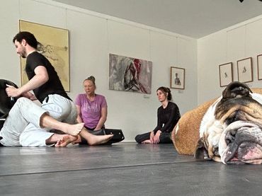 Rogue BJJ Canberra Brazilian Jiu-jitsu Martial Arts Lyneham Fitness Self Defence Gym MMA Girls BJJ