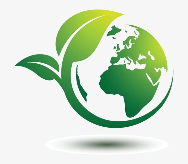 Green Earth with leaves symbolizing environmental care and sustainability.