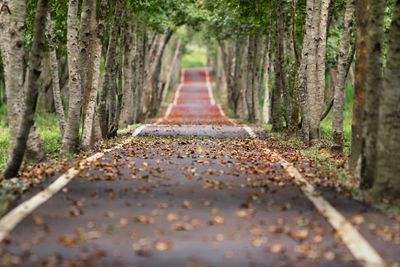 Road