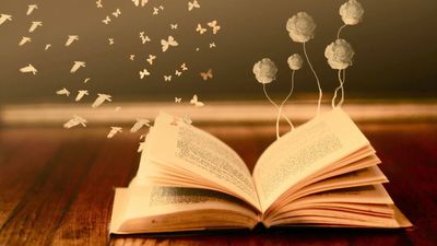 The butterflies and poppies represent transformation of your manuscript into print and published