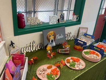 Thanksgiving spread for the sheltered dogs!