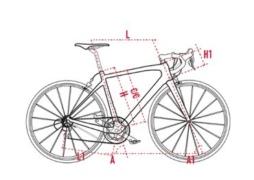 Wilier GTR Team hire bike rental bicycle size guide