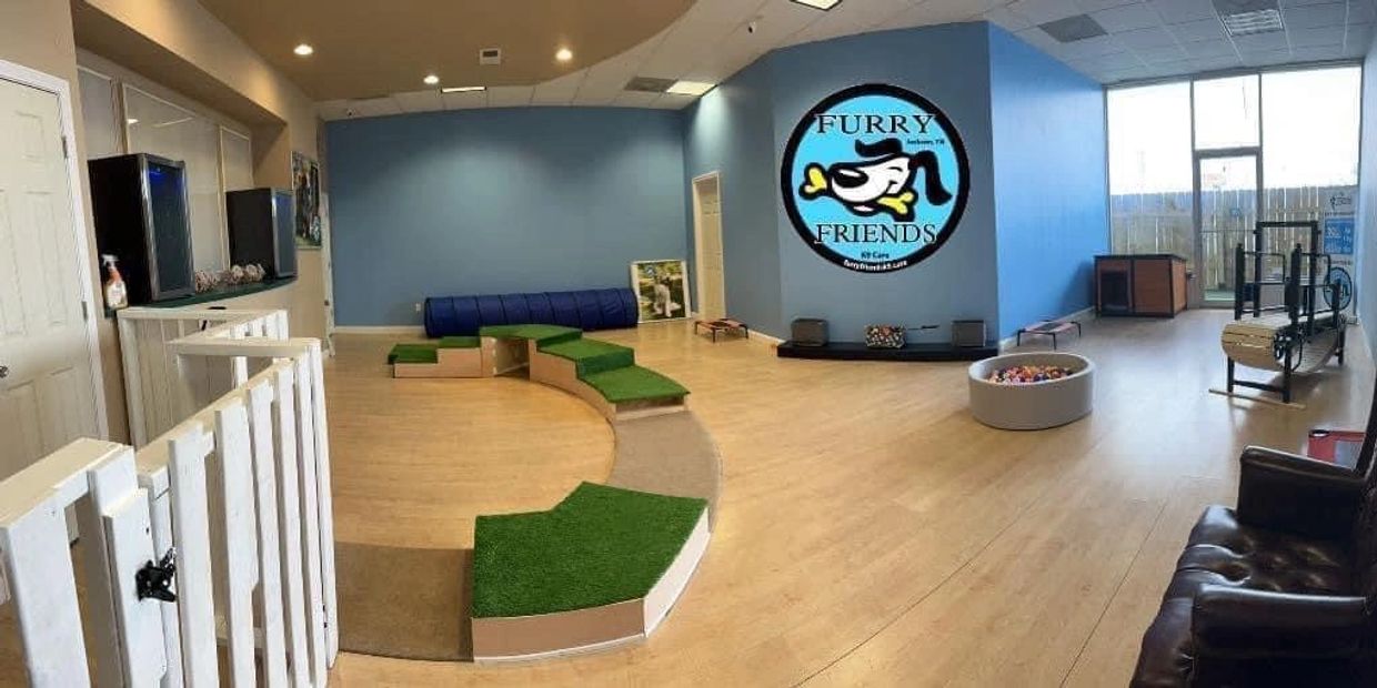 Spacious pet daycare with play areas and seating.