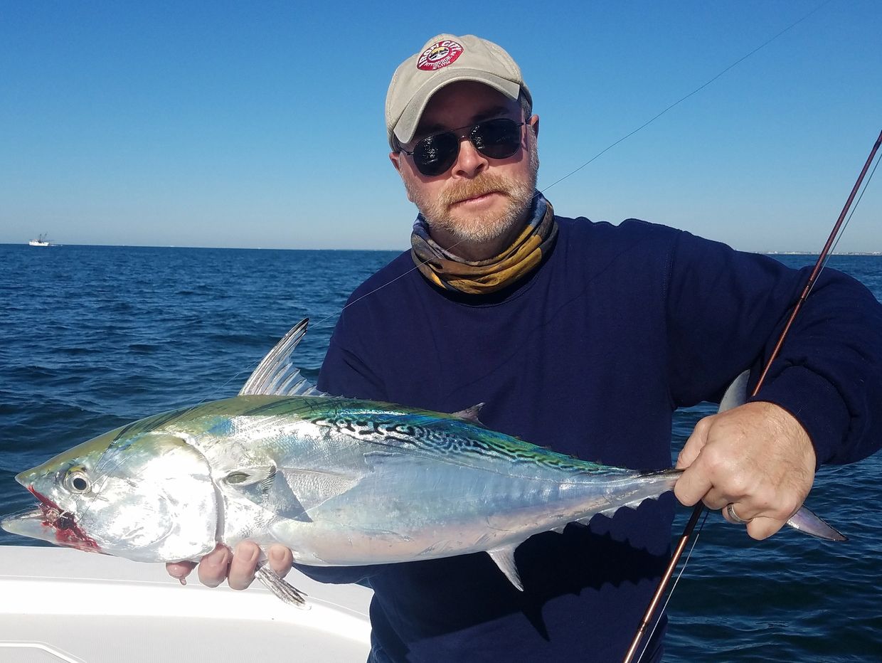 fly fishing Cape Lookout False albacore charters