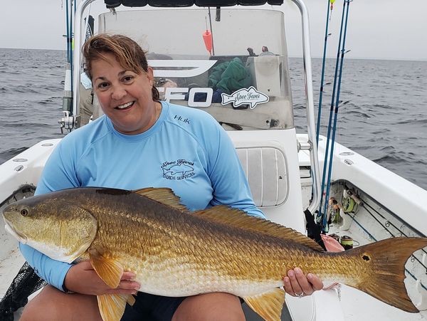 trophy red drum, trophy redfish, Neuse River, Pamlico Sound, bull reds, flyfishing for redfish