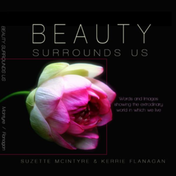 Photography by Suzette coffee table book - Beauty Surrounds Us.