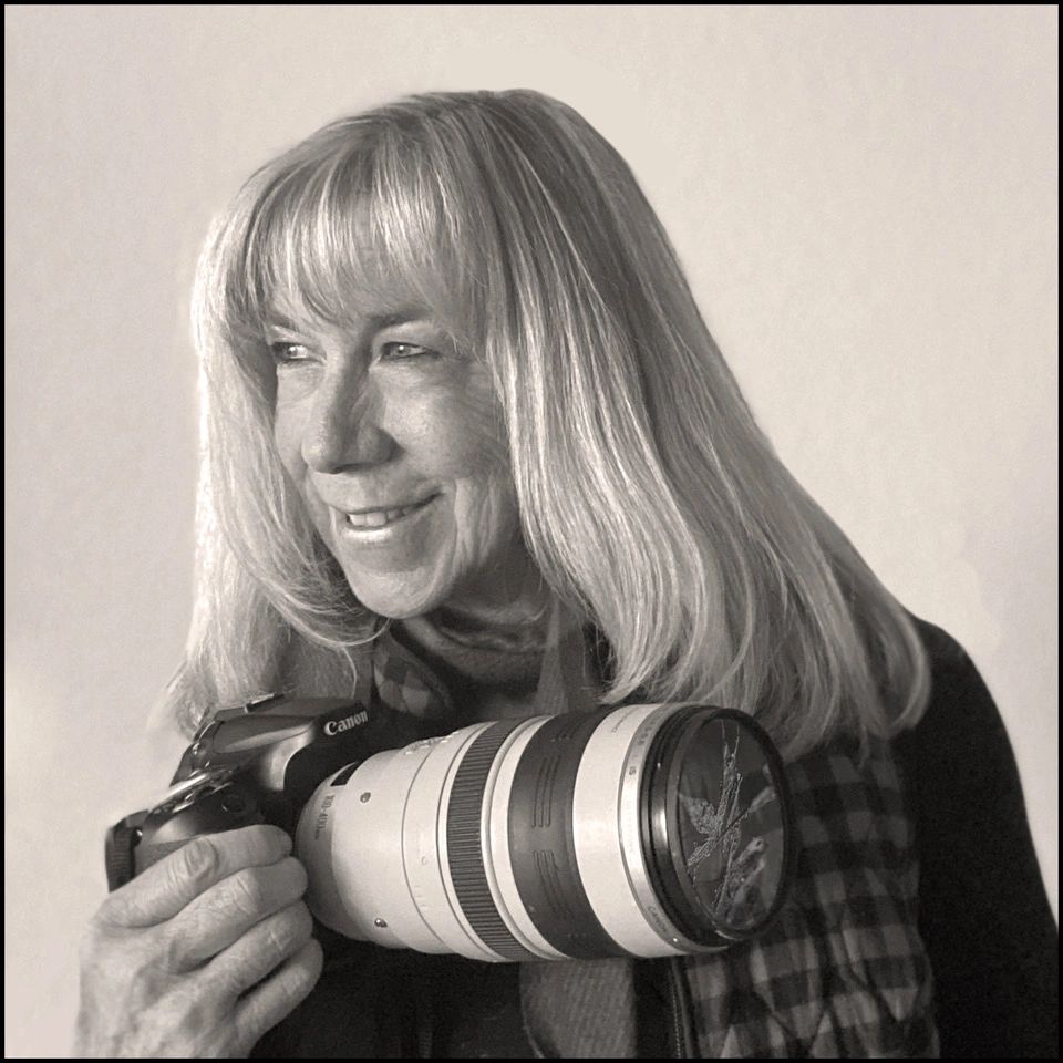 Suzette McIntyre, photographer