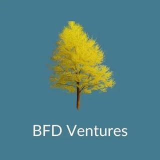 BFD Ventures