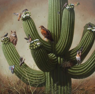 desert arizona art painting wildlife saguaro birds