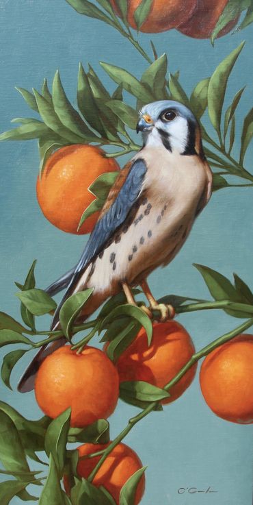 American Kestrel oranges tree branch wildlife art oil painting aqua teal blue green