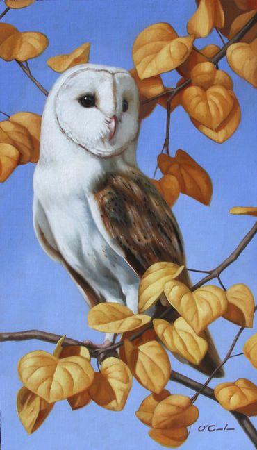 wildlife fine art oil painting barn owl Katsura tree leaves limb heart shaped blue and yellow golden