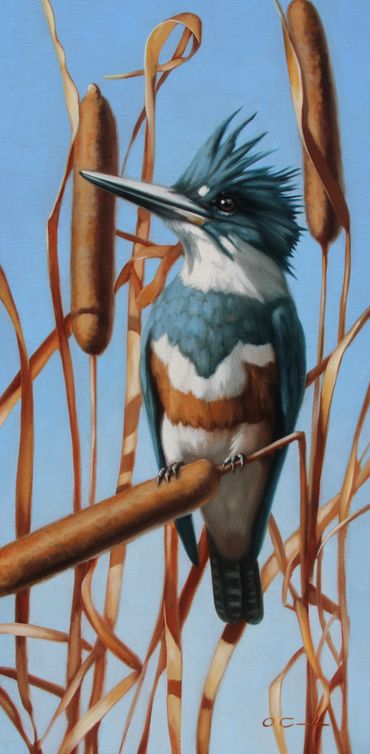 wildlife fine art oil painting kingfisher cattails