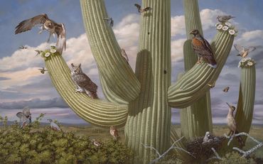 Arizona art wildlife painting oil saguaro creosote hawk owl roadrunner animals hummingbird together 