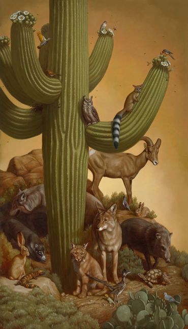 wildlife art painting saguaro coyote bobcat mexican wolf coati bighorn roadrunner gila monster owl