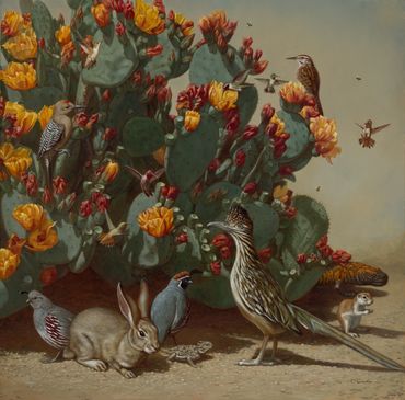 Prickly pear cactus blooming blossom flower roadrunner cottontail gambel's quail hummingbird horned