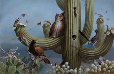 Saguaro Owl wildlife art painting harris's hawk cholla kestrel cactus wren blossom quail dove bees