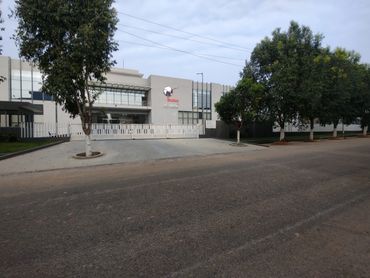 Modern corporate building with trees lining the driveway and a closed gate.