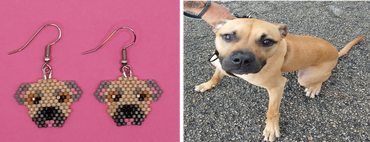 A dog named Rip