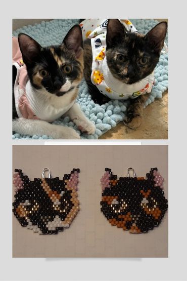 Calico Cats