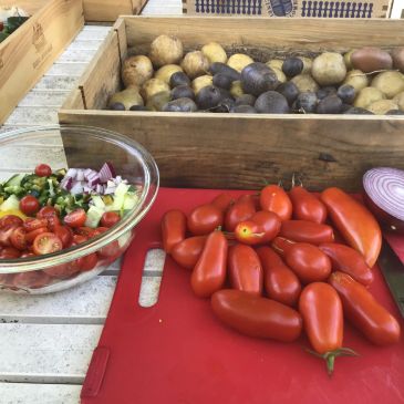 Fresh vegetables including tomatoes, onions, and potatoes on a table.