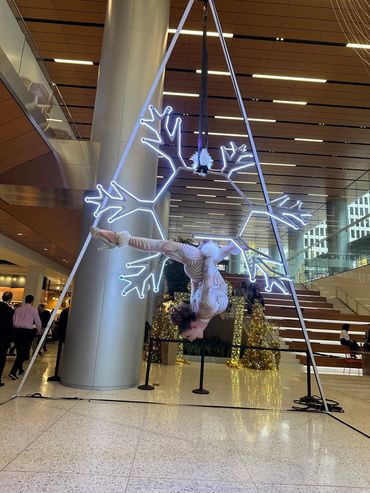 Aerial LED snowflake performance, aerial rig, aerial lyra, aerial silks, aerial bartending
