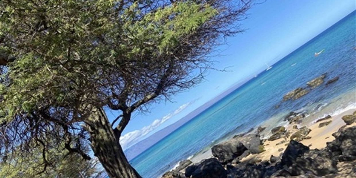 Maui, Hawaii. Photo By: Debbie Alamillo