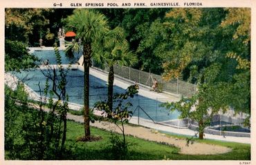 Old postcard of Glen Springs Pool, where Tom Petty's swam as a child