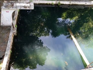 Glen Springs Pool, now closed, where Tom Petty once swam as a child