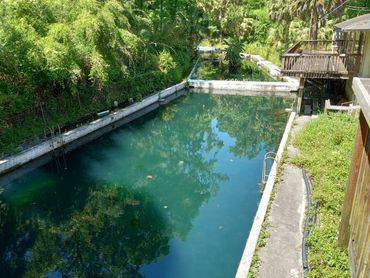 Glen Springs Pool, now closed, where Tom Petty once swam as a child