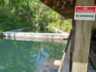 Glen Springs Pool, now closed, where Tom Petty once swam as a child