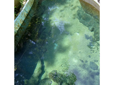 Glen Springs Pool, now closed, where Tom Petty once swam as a child